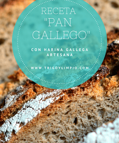 receta pan gallego con harina gallega artesana de trigo callobre