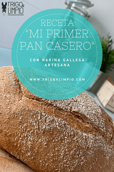 Pan gallego hecho con harina gallega artesana de Trigo y Limpio