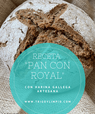 receta de pan fácil con levadura Royal y harina gallega artesana de Trigo y Limpio